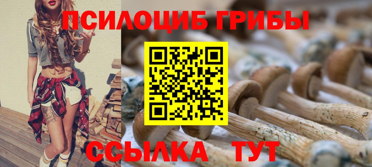 Улан-Удэ  Галлюциногенные грибы Cubensis  Вход с VPN 
